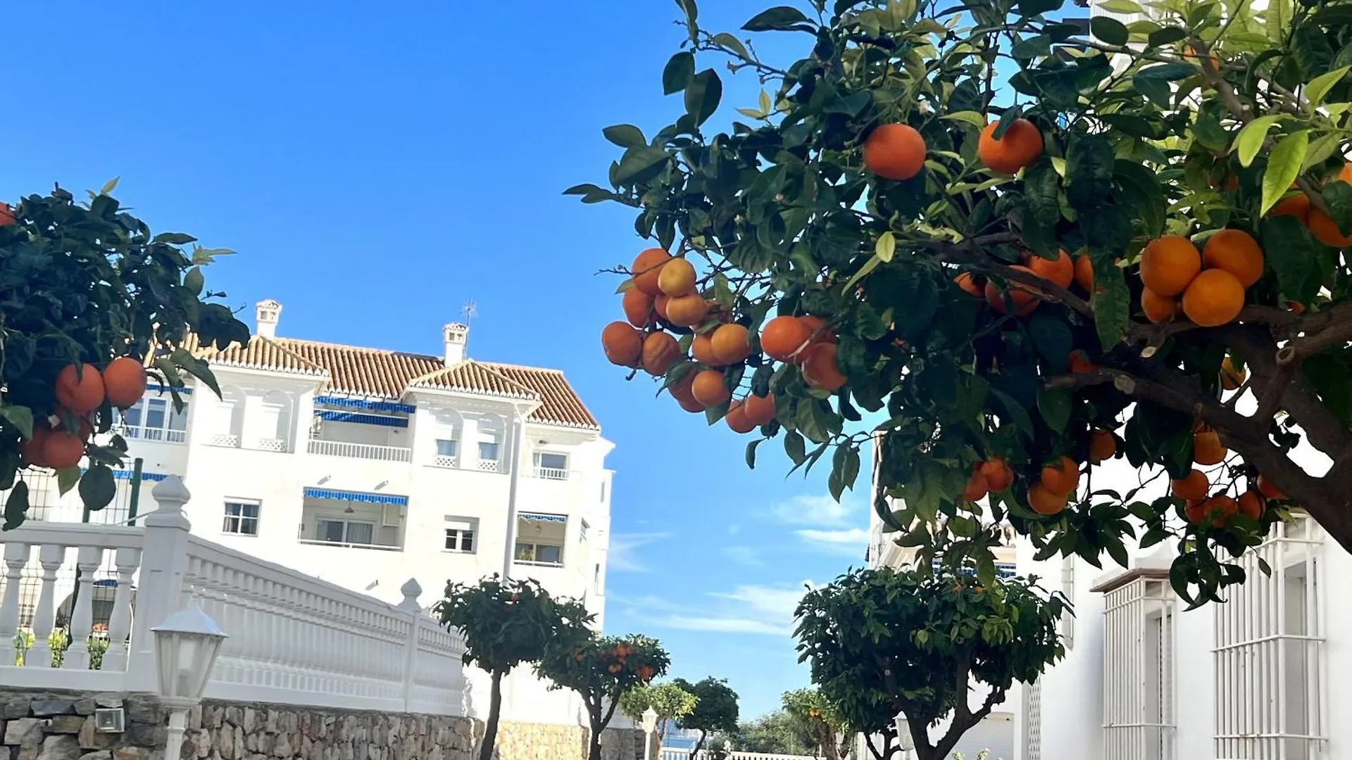 Edf. Fuentes B 1ºt - Eurosur Apartment Nerja 0*,  Spain